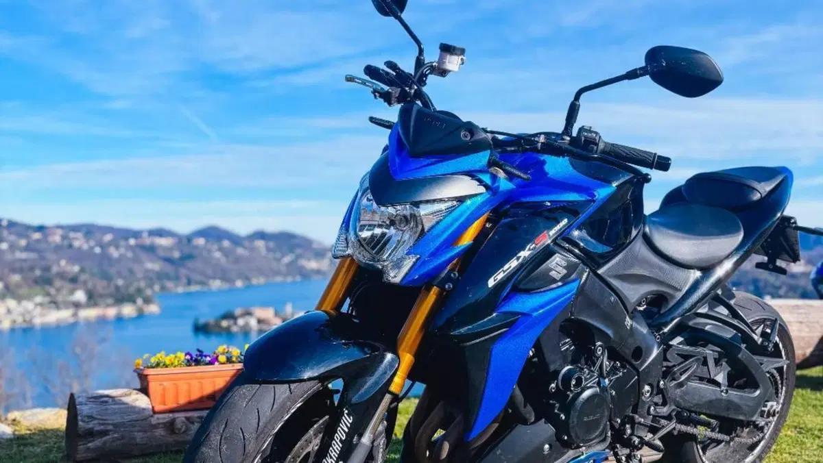 Suzuki GSX-S1000 ABS (2017 - 20)  (2)