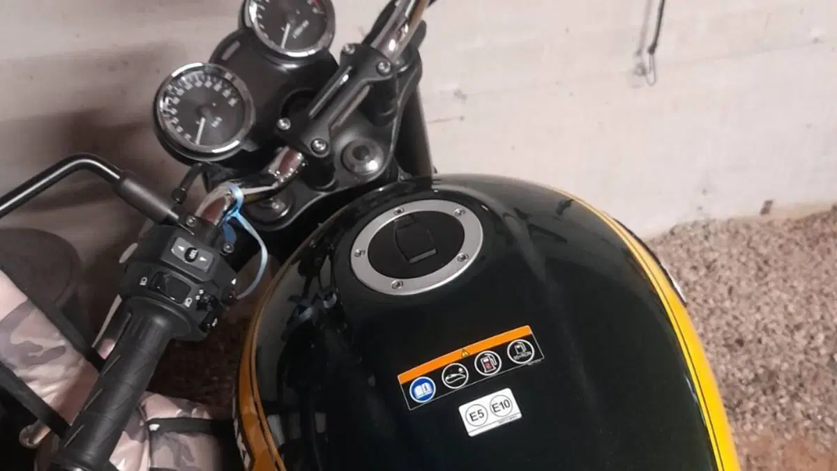Kawasaki Z 900 (2021 - 24) 