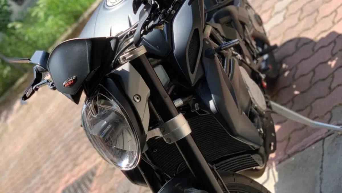 MV Agusta Brutale 800 (2012 - 15)  (4)