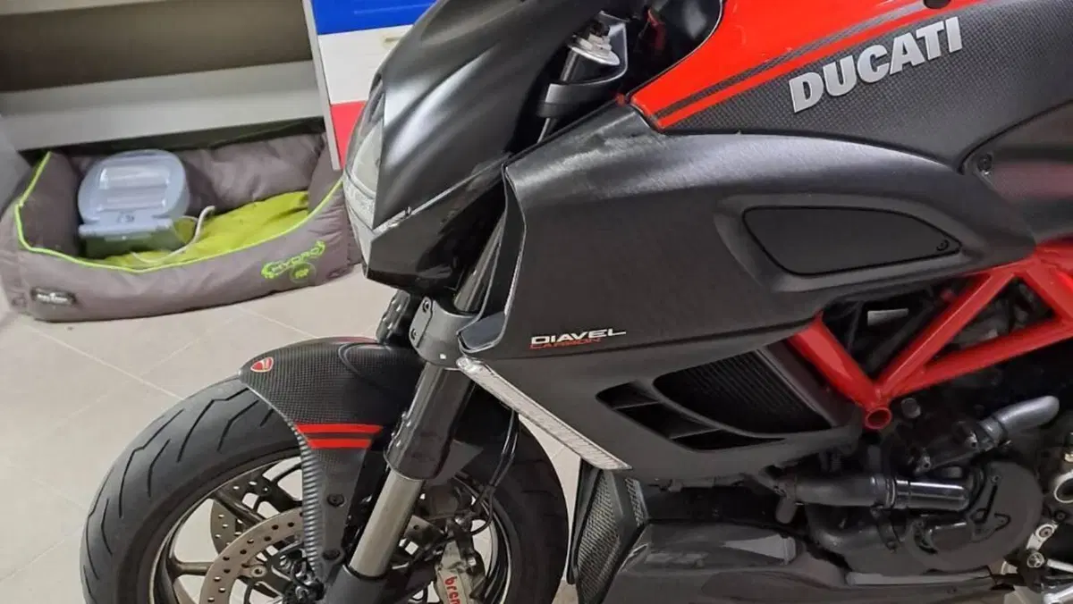Ducati Diavel 1200 Carbon (2010 - 13)  (2)