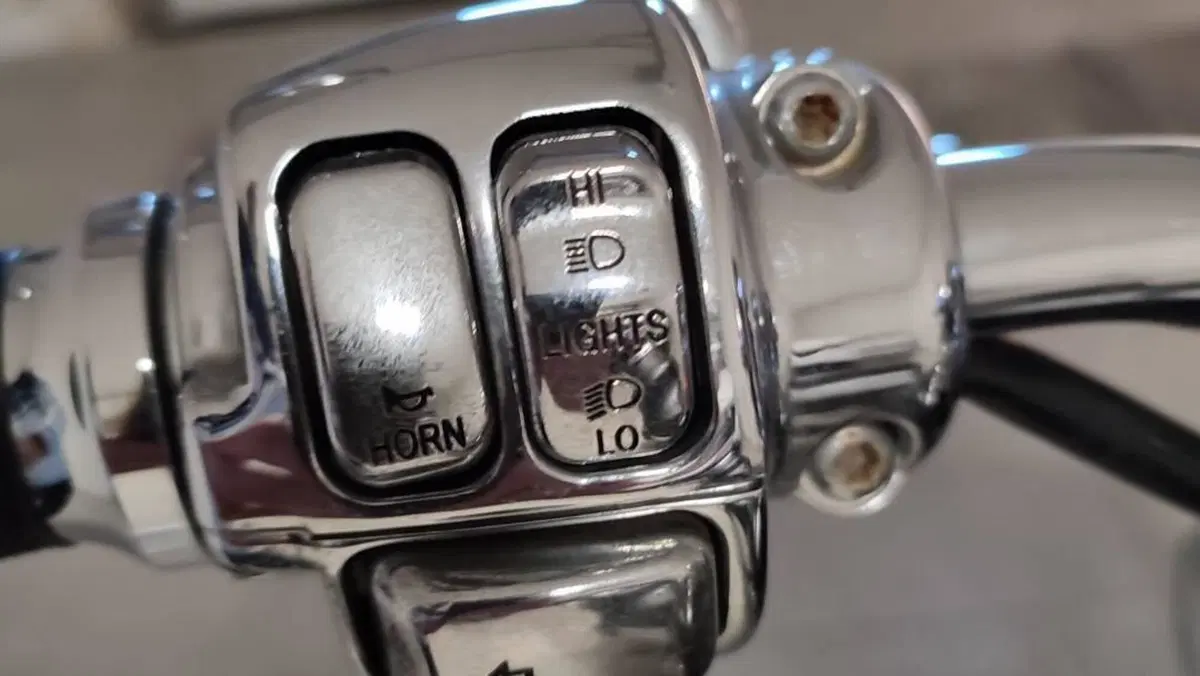 Harley-Davidson 1200 Custom (2004 - 06) - XL 1200C  (5)