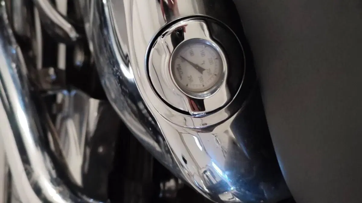 Harley-Davidson 1200 Custom (2004 - 06) - XL 1200C  (7)