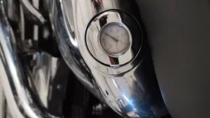 Harley-Davidson 1200 Custom (2004 - 06) - XL 1200C  (7)