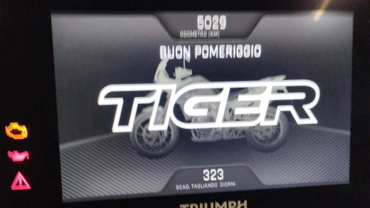 Triumph Tiger 900 Rally Pro (2020 - 23)  (6)