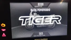 Triumph Tiger 900 Rally Pro (2020 - 23)  (6)