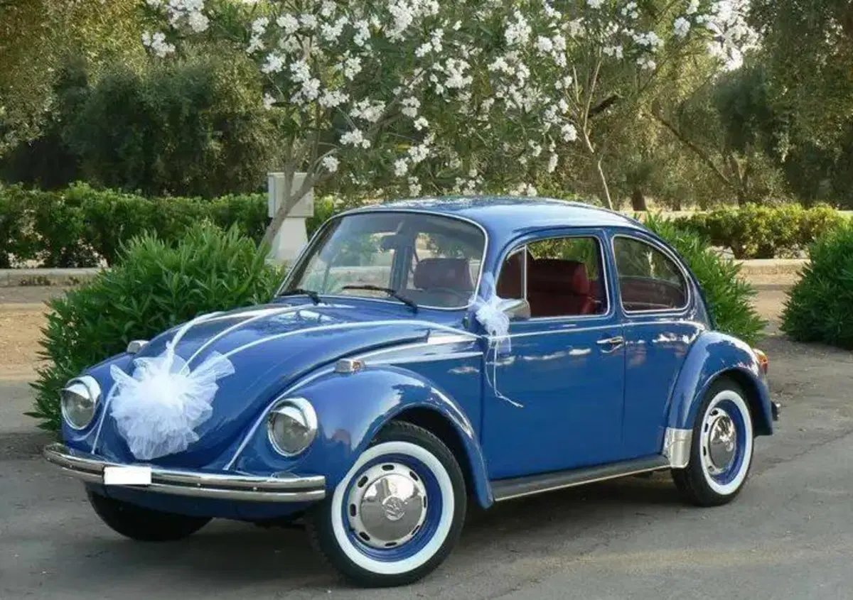 Volkswagen Maggiolone 