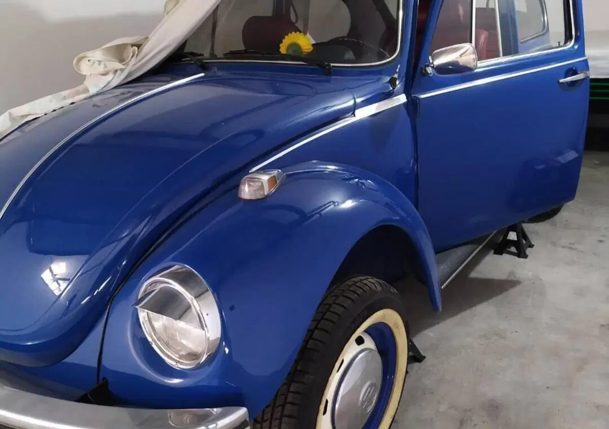Volkswagen Maggiolone  (8)