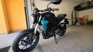 Honda CB 300 R (2018 - 19)  (2)