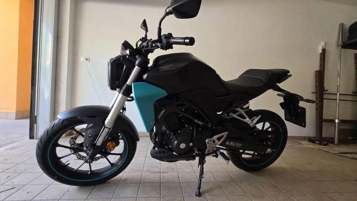 Honda CB 300 R (2018 - 19)  (4)