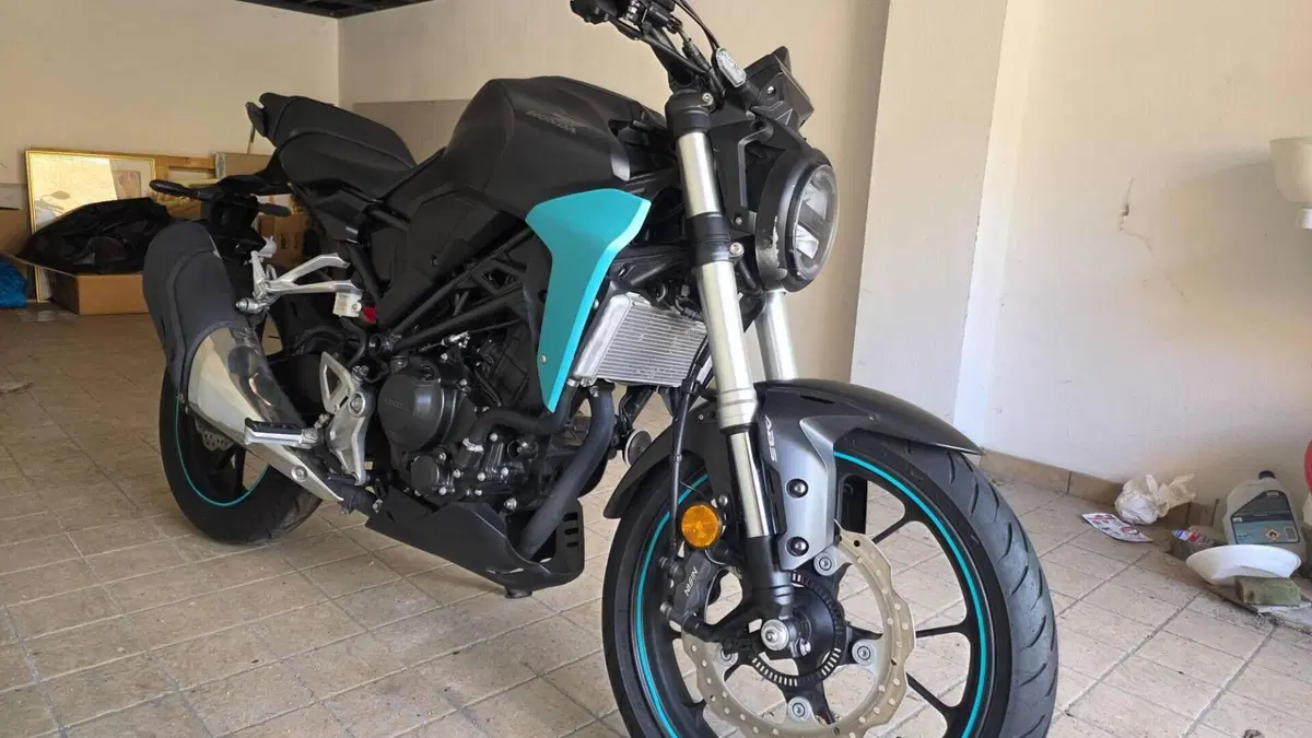 Honda CB 300 R (2018 - 19)  (7)