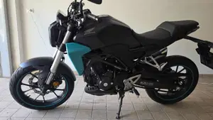 Honda CB 300 R (2018 - 19)  (9)