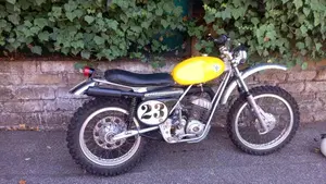 Ajs   (3)