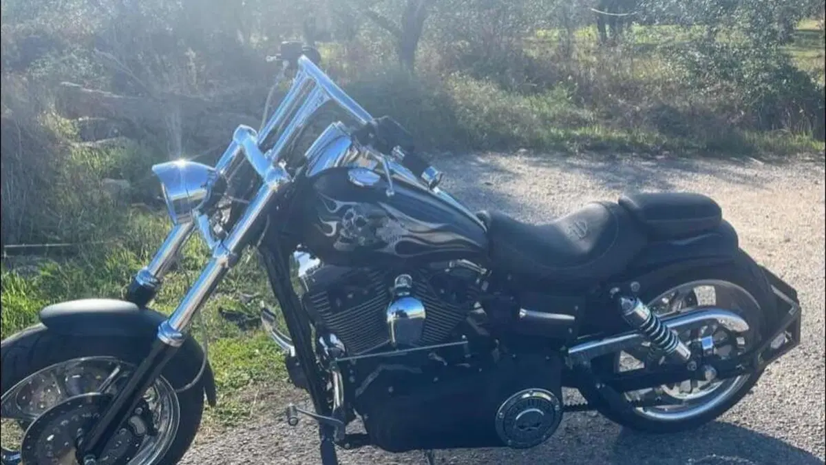 Harley-Davidson 1584 Fat Bob (2007 - 13) - FXDF 