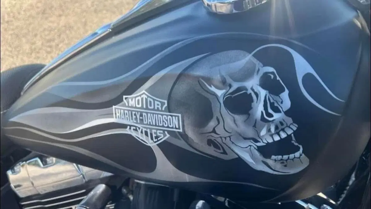 Harley-Davidson 1584 Fat Bob (2007 - 13) - FXDF  (3)