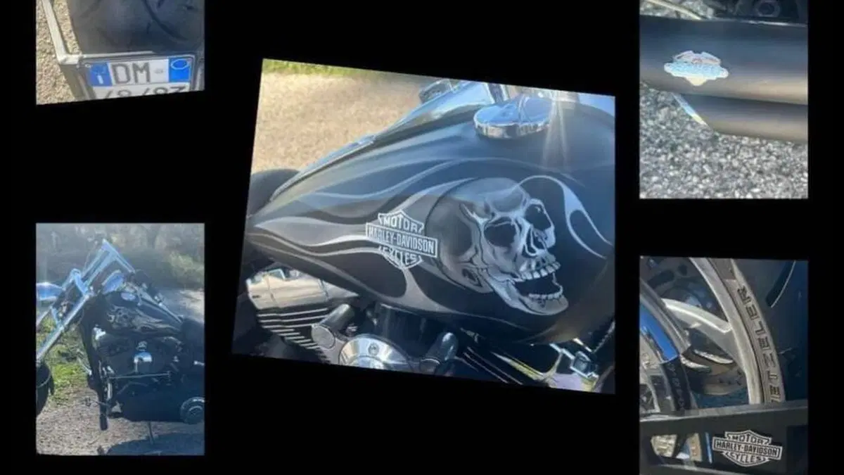 Harley-Davidson 1584 Fat Bob (2007 - 13) - FXDF  (5)
