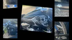 Harley-Davidson 1584 Fat Bob (2007 - 13) - FXDF  (5)
