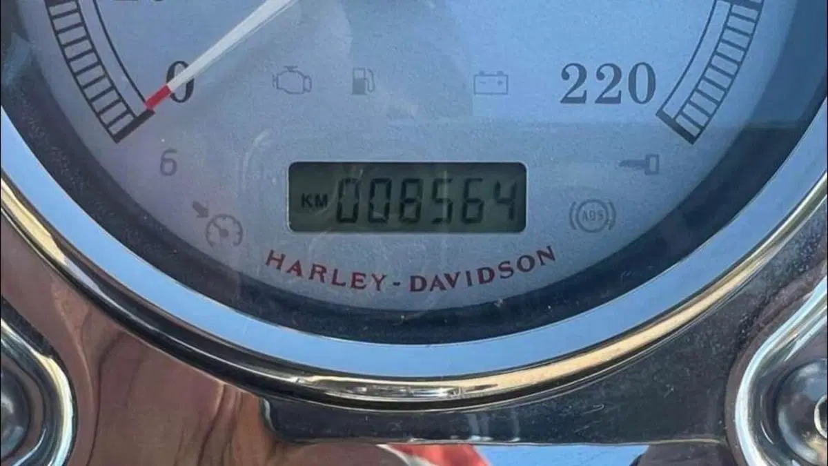 Harley-Davidson 1584 Fat Bob (2007 - 13) - FXDF  (6)