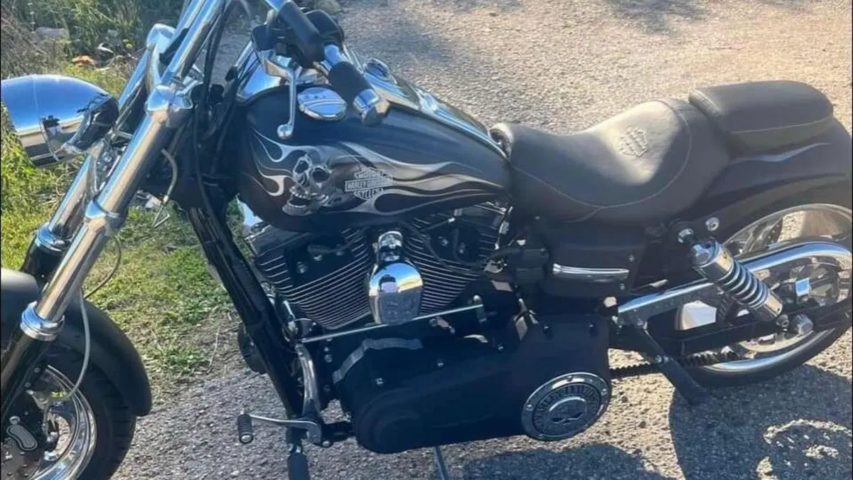 Harley-Davidson 1584 Fat Bob (2007 - 13) - FXDF  (7)