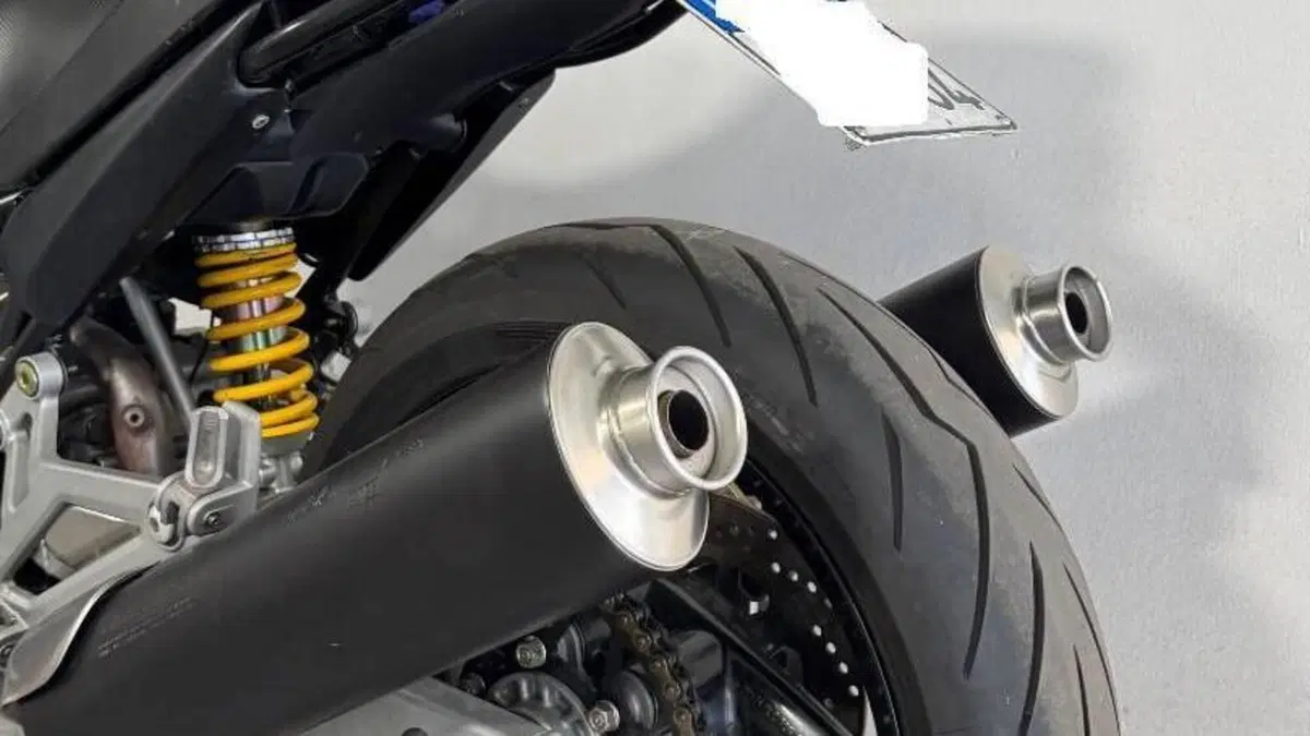 Ducati Monster 620 Dark (2003 - 06)  (4)
