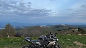 Kawasaki Ninja 650 Performance (2021 - 24)  (6)