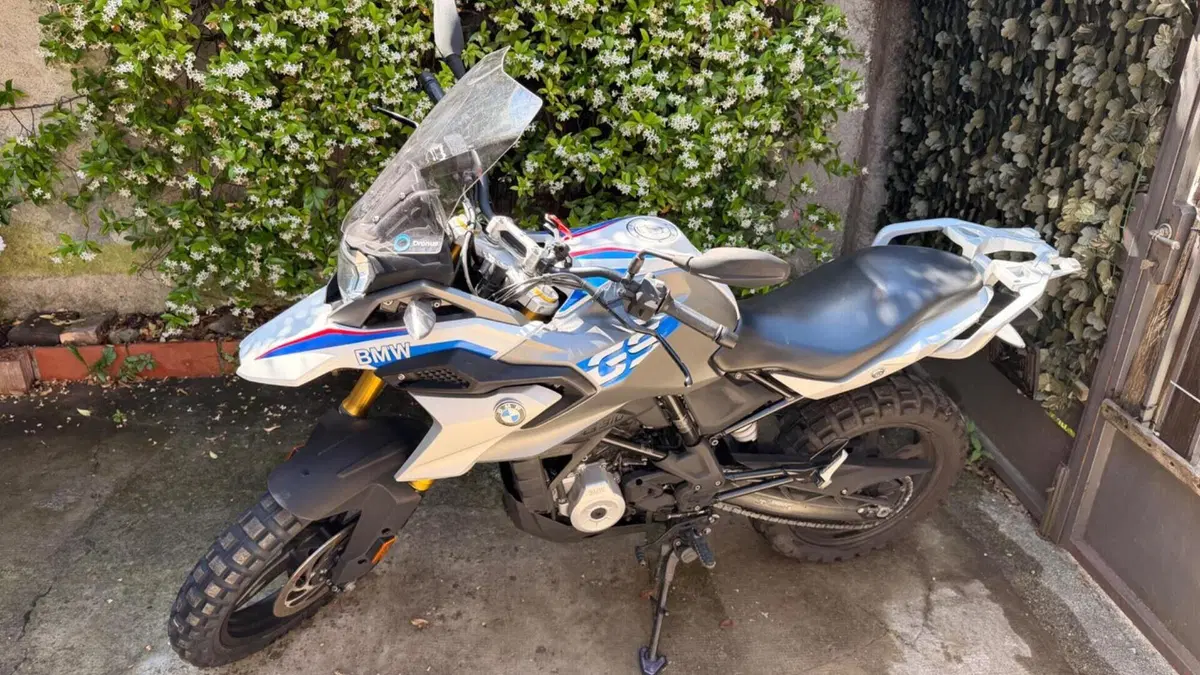Bmw G 310 GS (2021 - 25) 