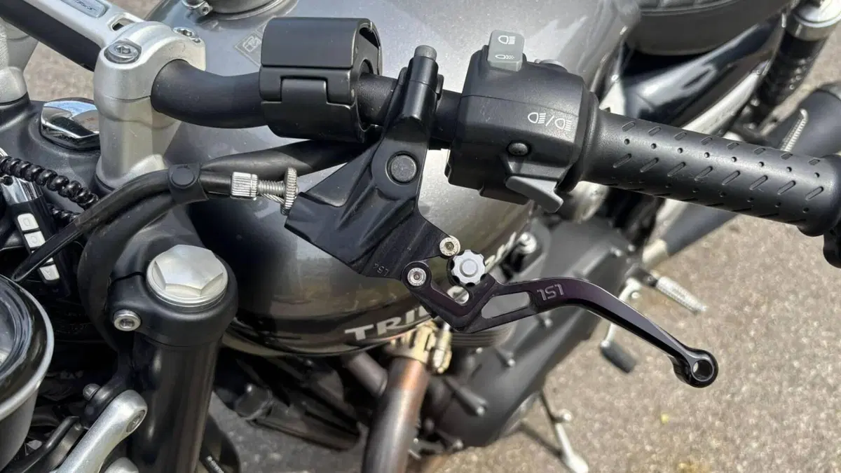 Triumph Speed Twin 1200 (2019 - 20)  (4)