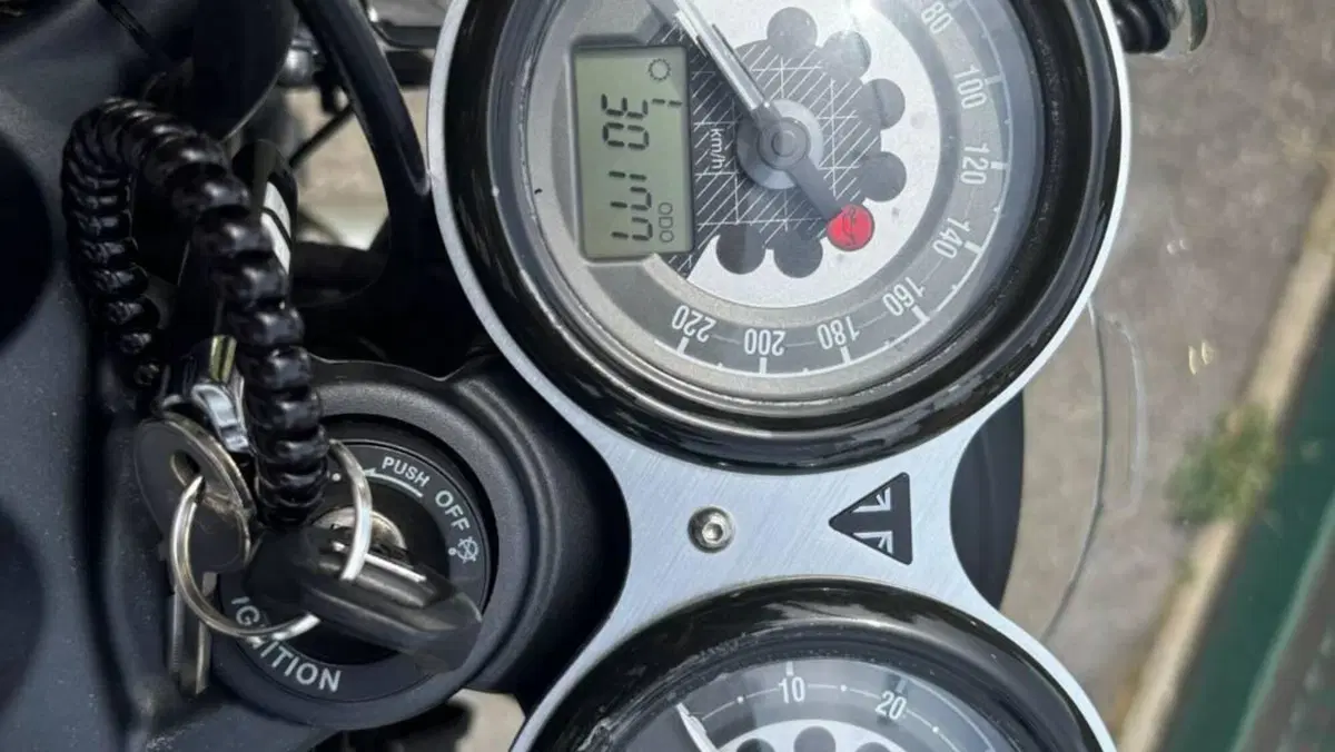 Triumph Speed Twin 1200 (2019 - 20)  (6)