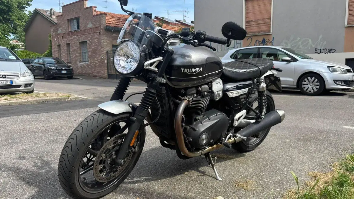 Triumph Speed Twin 1200 (2019 - 20)  (8)