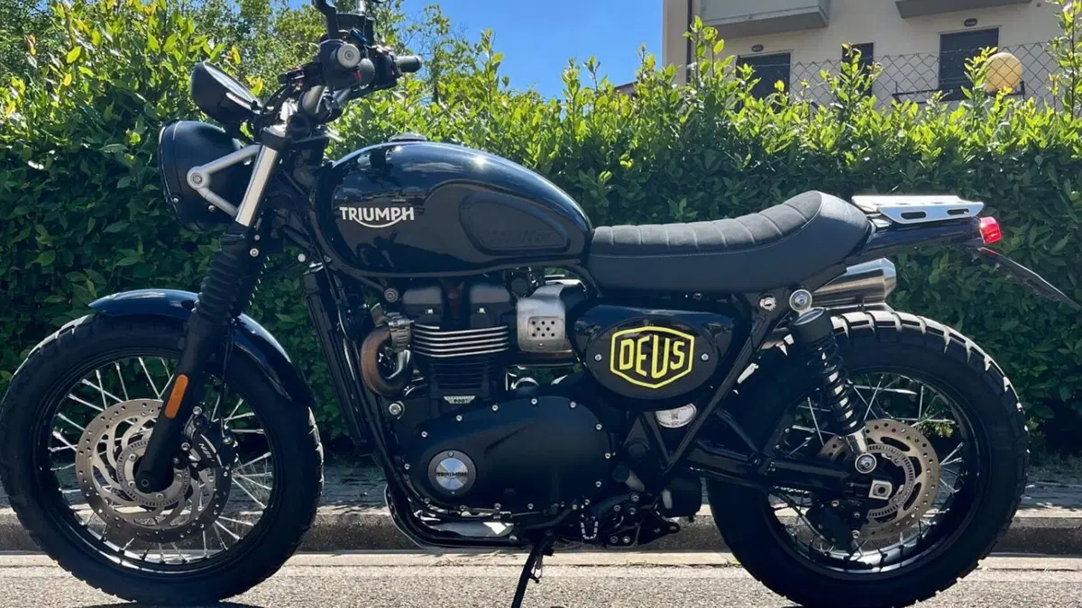Triumph Street Scrambler 900 (2017 - 18) 