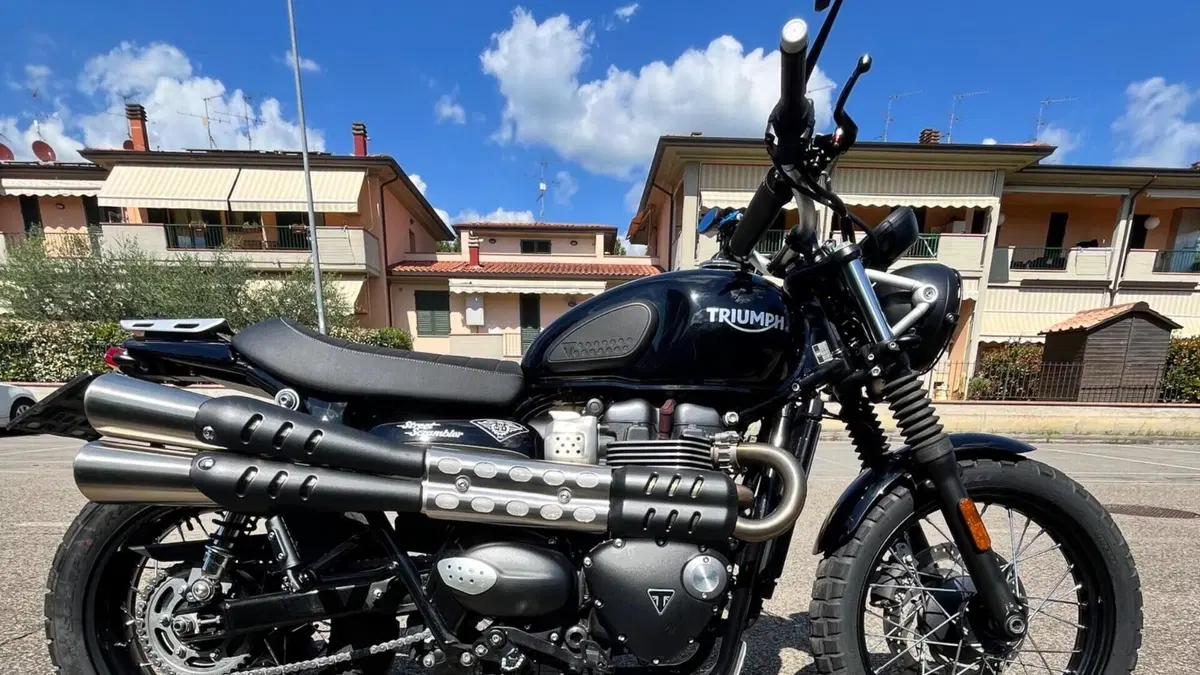 Triumph Street Scrambler 900 (2017 - 18)  (3)