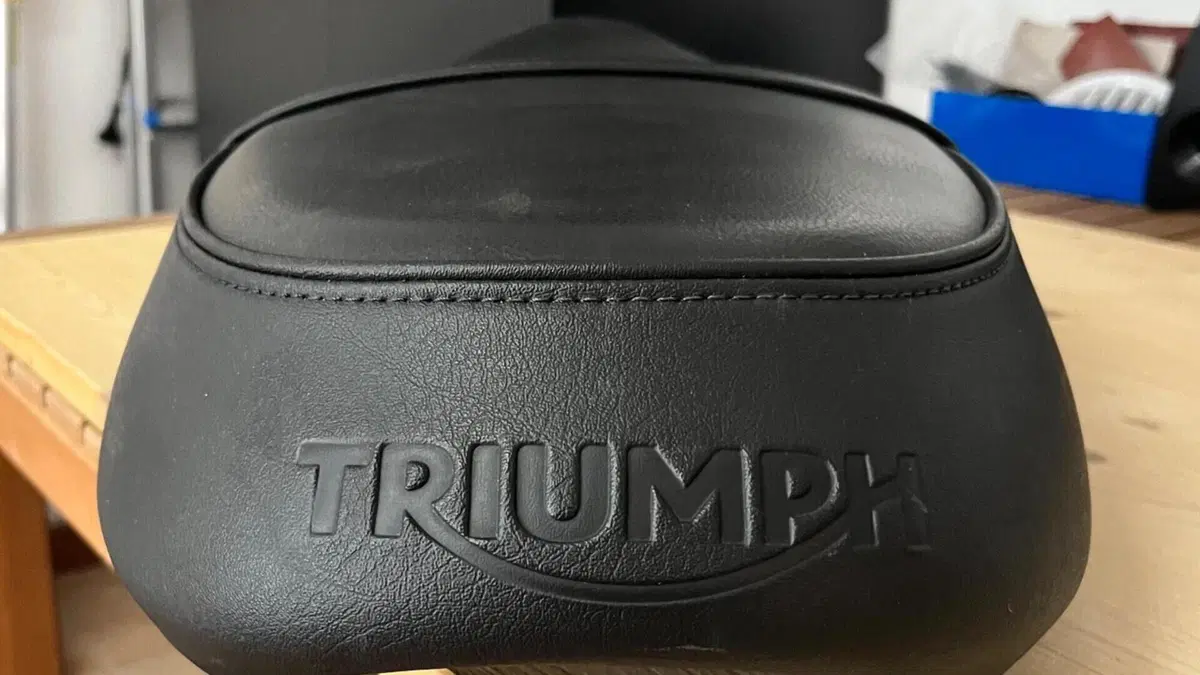 Triumph Street Scrambler 900 (2017 - 18)  (13)