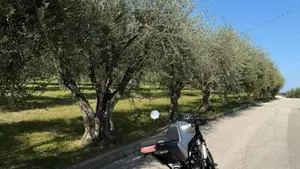 Husqvarna Vitpilen 401 (2020)  (5)