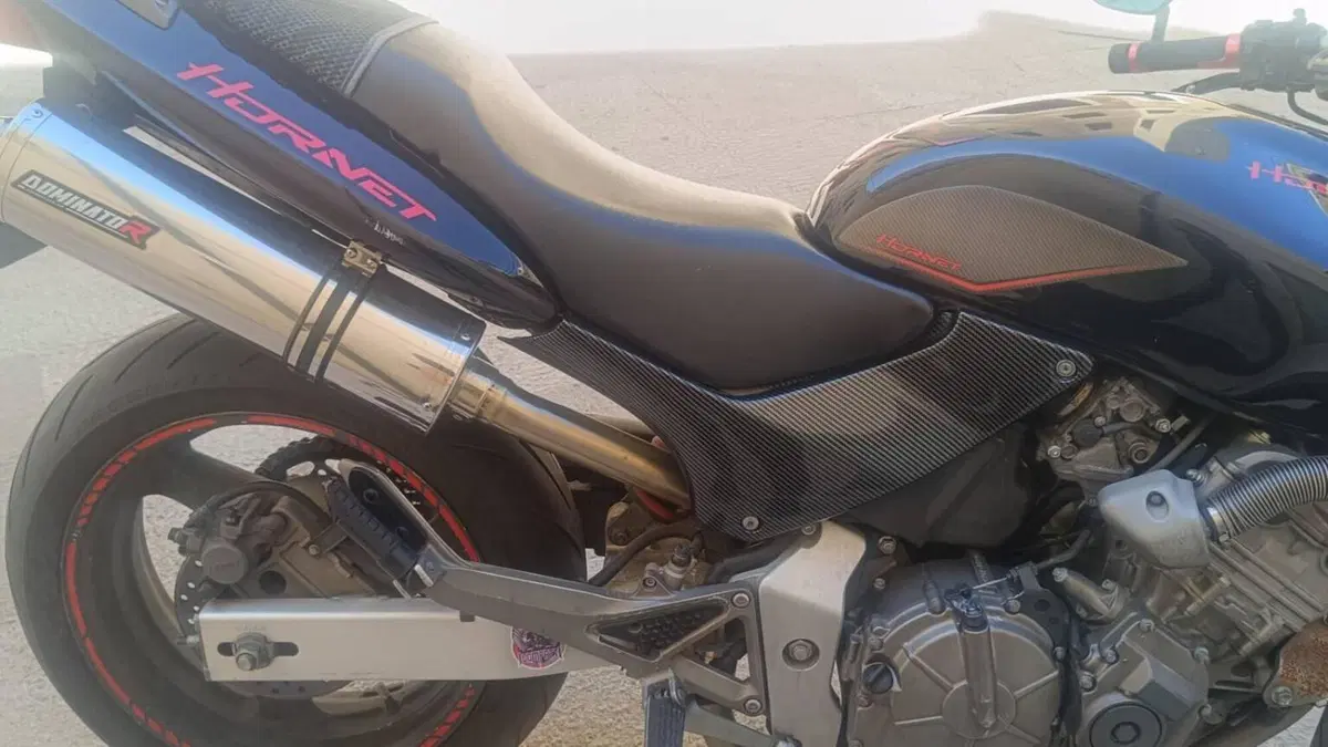Honda Hornet 600 (2000 - 02) 