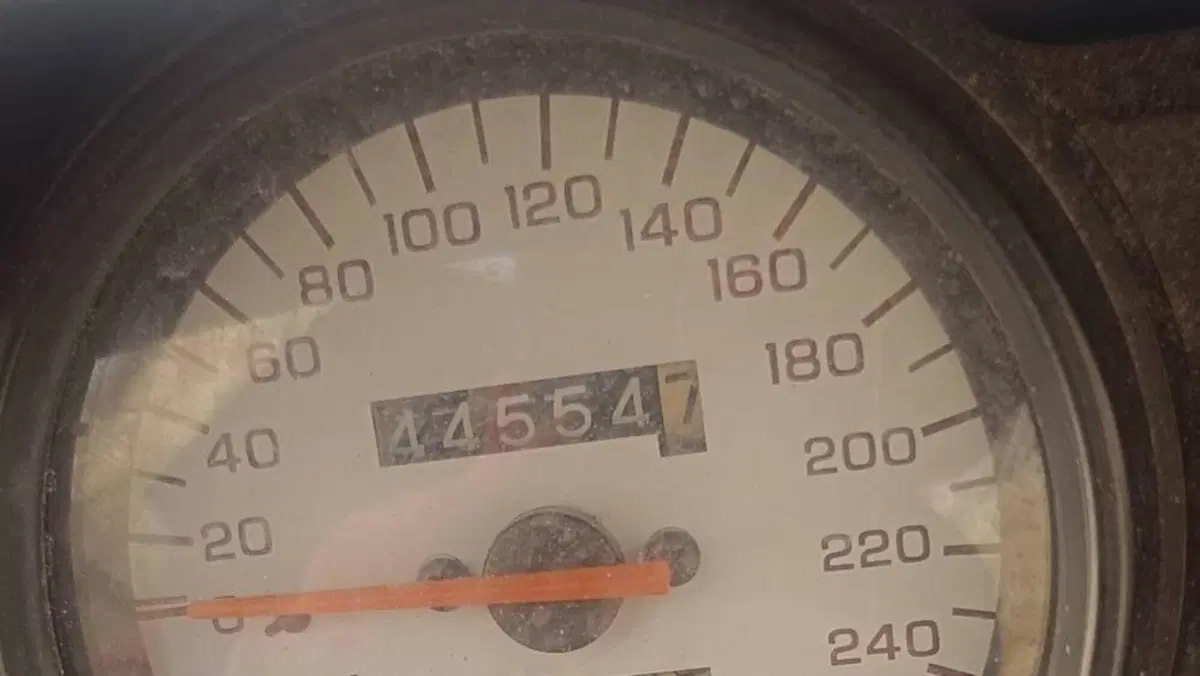 Honda Hornet 600 (2000 - 02)  (3)