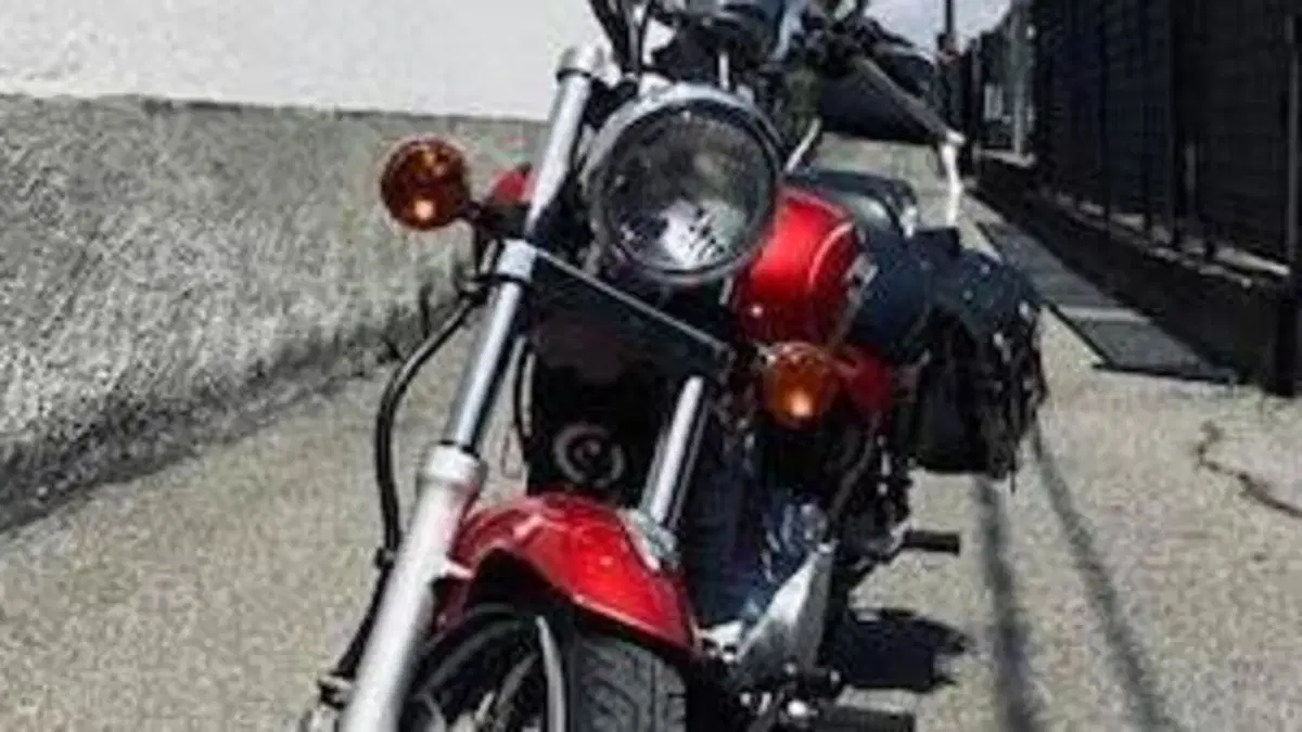 Kawasaki EL 125  (4)