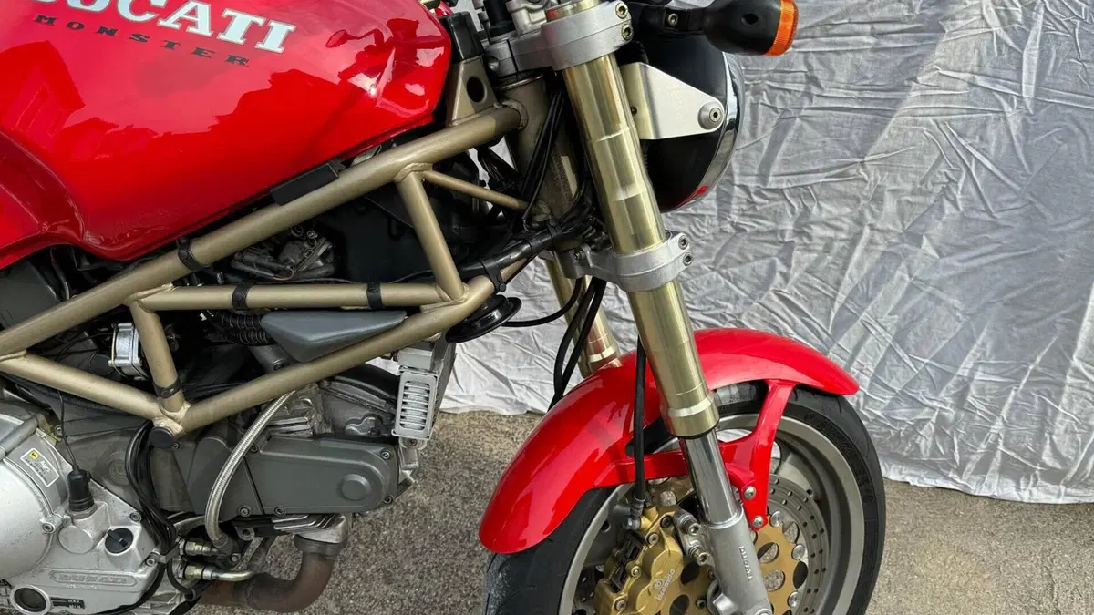 Ducati   (4)