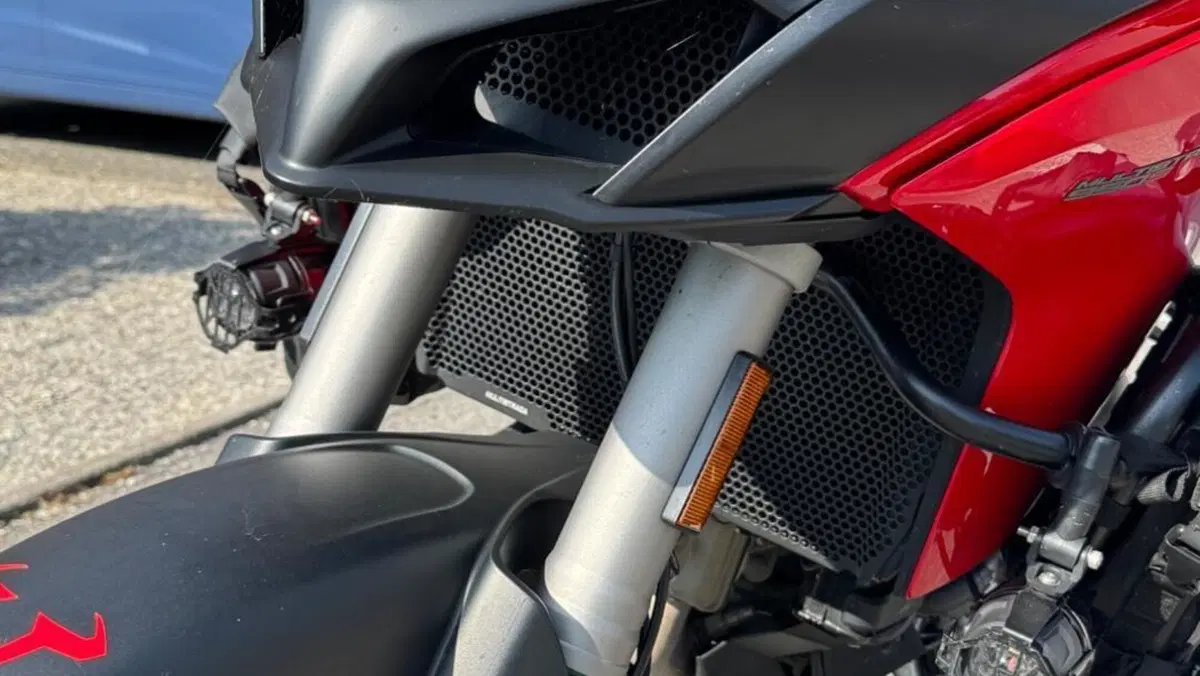 Ducati Multistrada 950 S (2019 - 20)  (6)