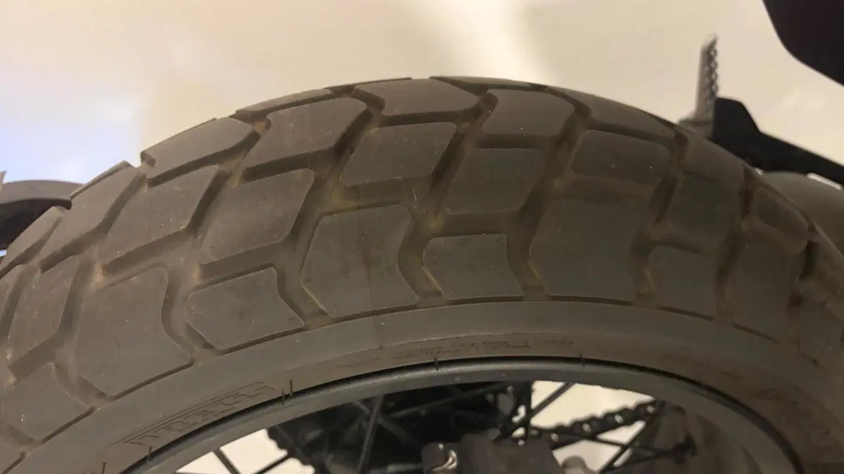 Ducati Scrambler 800 Nightshift (2023 - 24)  (6)