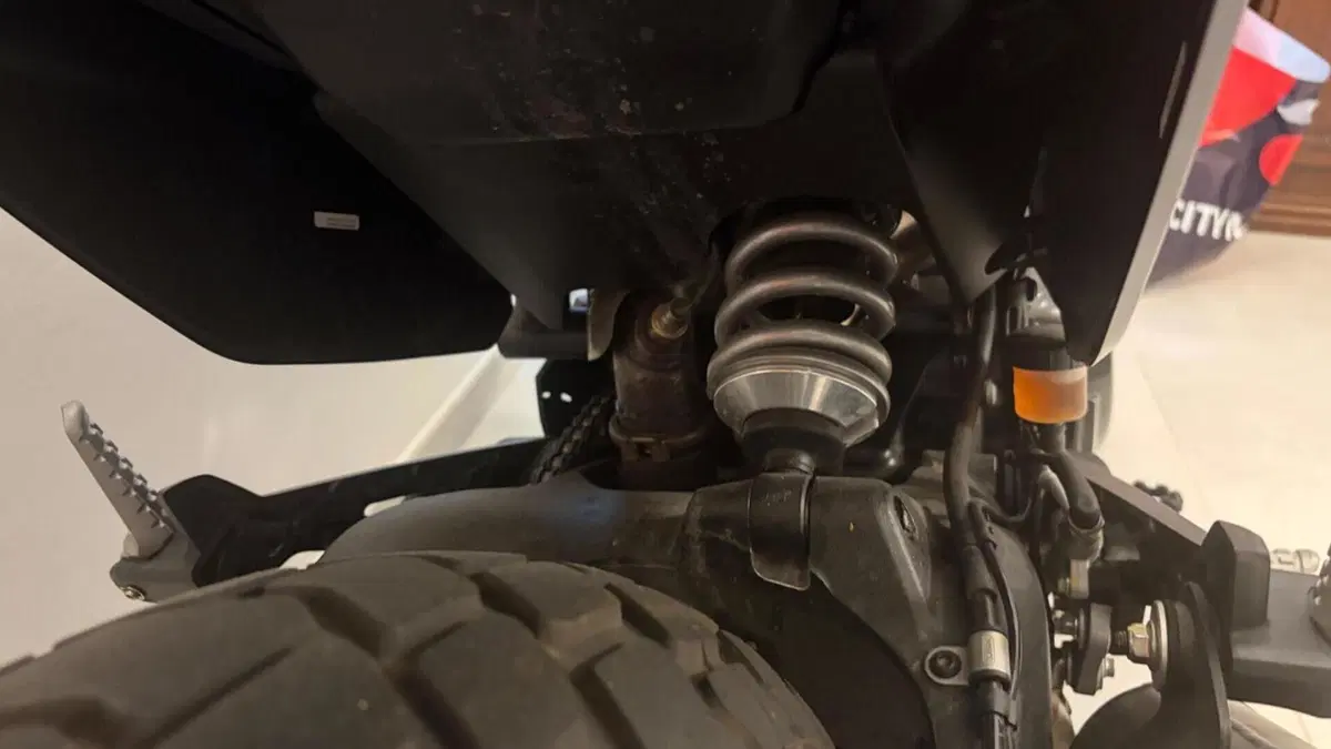 Ducati Scrambler 800 Nightshift (2023 - 24)  (8)