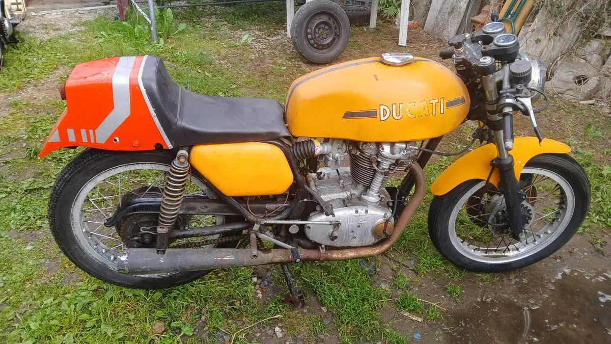 Ducati  