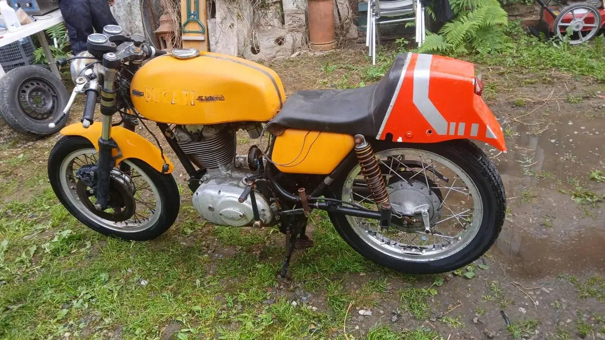 Ducati   (2)