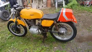 Ducati   (2)