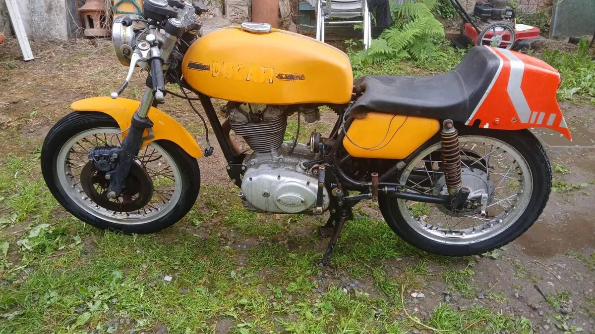 Ducati   (3)