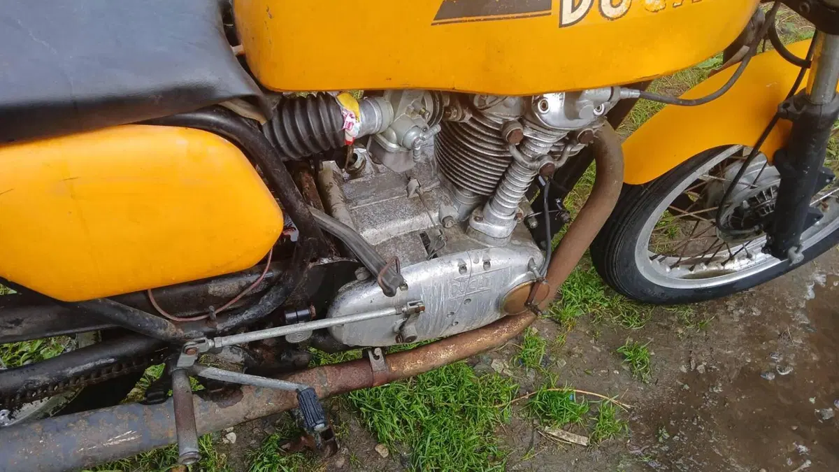 Ducati   (4)