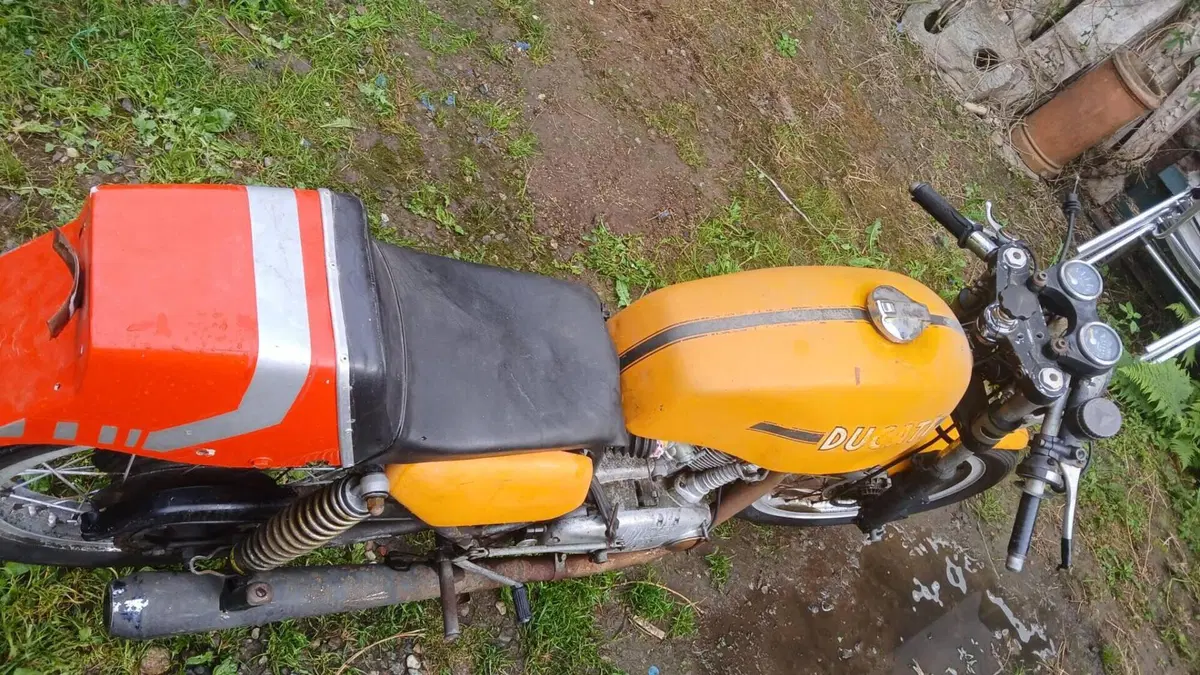 Ducati   (5)