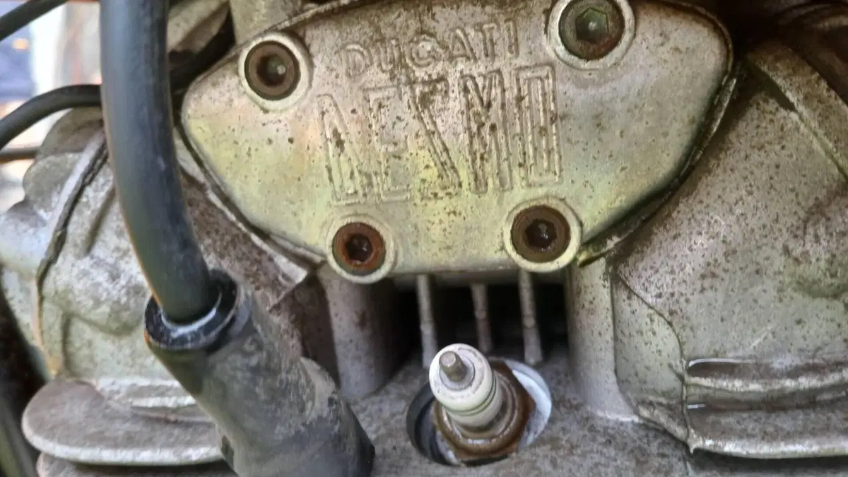 Ducati   (6)