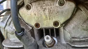 Ducati   (6)