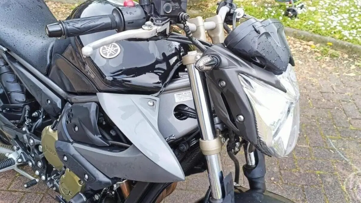 Yamaha XJ6 (2008 - 15)  (2)