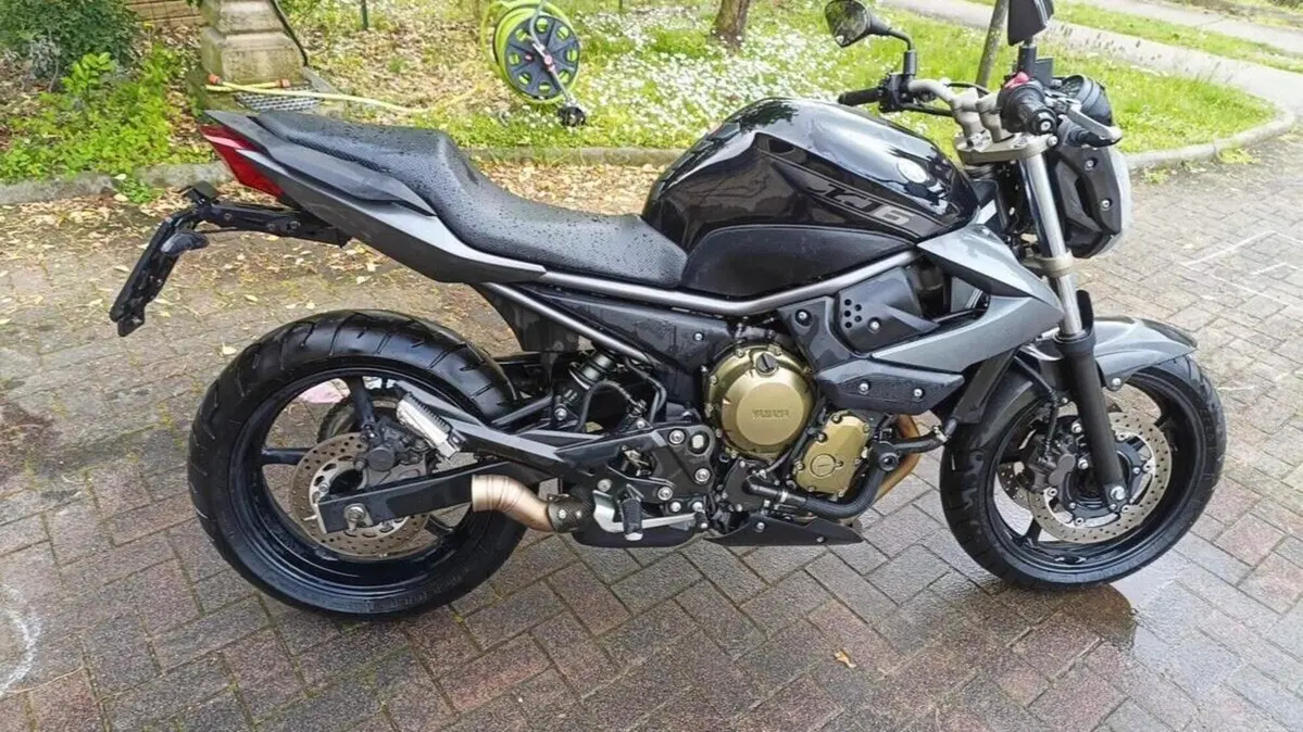 Yamaha XJ6 (2008 - 15)  (3)