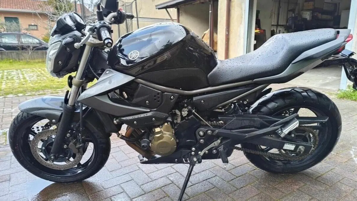 Yamaha XJ6 (2008 - 15)  (4)